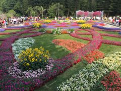-深圳仙湖植物园