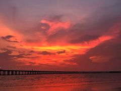 -宝安西湾红树林湿地公园