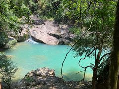 -广州白江湖森林公园