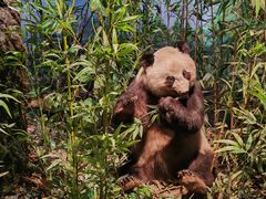 -陕西自然博物馆