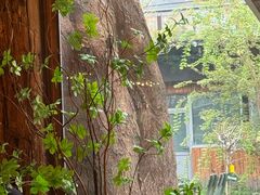 -糖房咖啡(南锣鼓巷店)