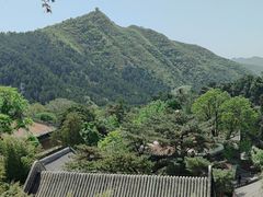 -大班家政月嫂育儿嫂(总部店)