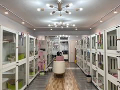 -青奢宠物·青奢猫舍