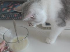 -中农国际动物医院24小时·猫科·骨科·急重症中心