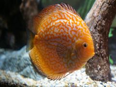 -上海海洋水族馆