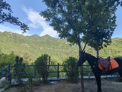 -幽岚山·童话森林