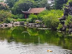 -顺峰山公园