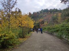 -北京鹫峰国家森林公园