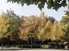 -春晖园度假酒店温泉