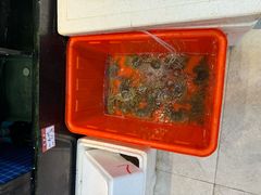 -渔满仓海鲜渔家(象山二店)