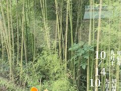 -海螺沟风景区