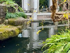 -香然会·园林雅宴(陆家嘴店)