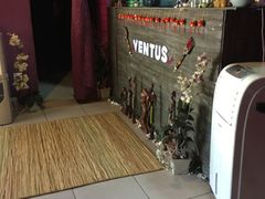 -ventus spa 沙巴亚庇正宗精油按摩会所