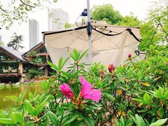 -静安公园(静安寺街道)