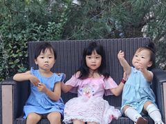 -禧宴Joyous Restaurant(禧园店)