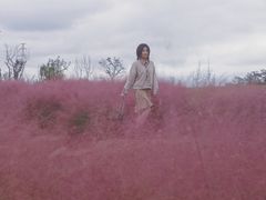 -白鹭湾湿地公园