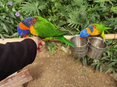 -南宫五洲植物乐园