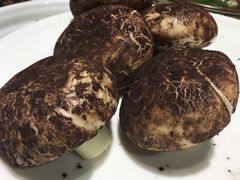 -老人和饭店(打浦路店)