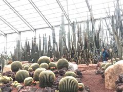 -南通洲际绿博园