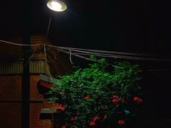 -静安别墅