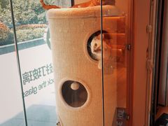 -Pets First伊珊娜洗护·精致美容·家庭式寄养(新会路店)