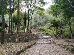 -仙霞关景区