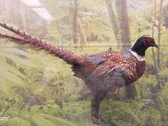 -下渚湖国家湿地公园科普馆