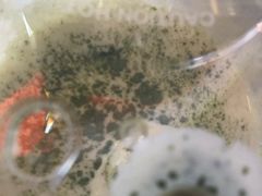 -蜜雪冰城(太仓万达广场店)