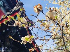 -北京艺术博物馆(万寿寺)