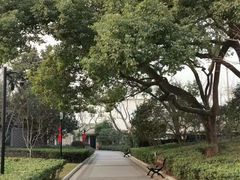 -徐家汇源景区-衡山公园