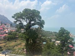 -崂山仰口游览区