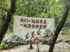 -广州白江湖森林公园