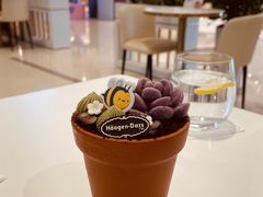 -哈根达斯(皇城恒隆广场店)