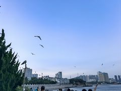 -黑石礁公园