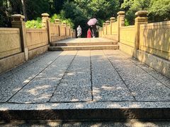-晓港公园