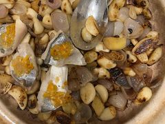 -新吉士·上海菜(浦东LCM置汇旭辉店)