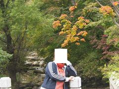 -丹东天桥沟景区