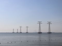 -宝安西湾红树林湿地公园