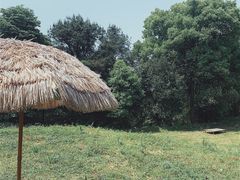 -铁山坪森林公园