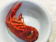 -茸梅路右拐龙虾-农家菜(松江店)