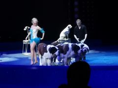 -珠海横琴长隆《卡卡虎奇遇记》