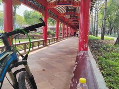 -顺峰山公园
