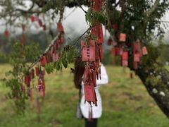 -硗碛藏寨·神木垒景区