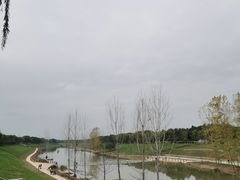 -洨河生态公园
