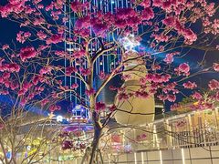 -东莞松山湖万象汇