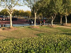 -南京信息职业技术学院