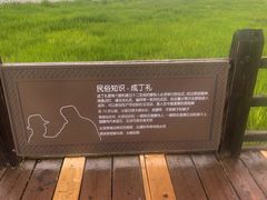 -泸沽湖国家级风景名胜区走婚桥