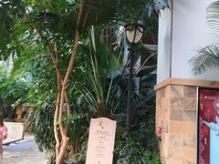 -国信南山温泉