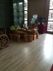 -脉道美容养生会所