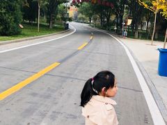 -石家庄市动物园